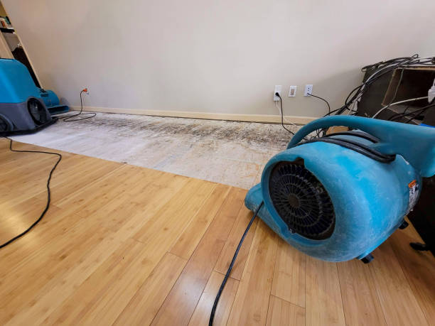 Professional Water Damage Repair technician working in Lincolnshire, IL
